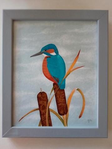 Ijsvogel op lisdodde. beschikbaar voor biedingen
