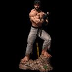 Ryu Battle 1/3 scale statue PCS Sideshow, Nieuw, Ophalen of Verzenden