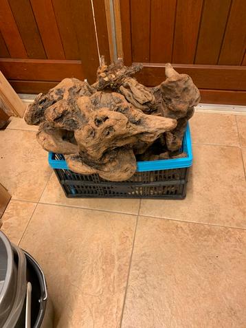 Driftwood beschikbaar voor biedingen