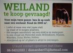 Weiland/ kaveltje te koop gevraagd, Ophalen of Verzenden