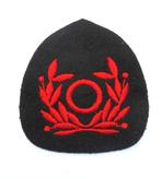 Onbekend militair embleem Koninklijke Ned Marine: Mariniers?, Ophalen of Verzenden, Marine, Nederland, Embleem of Badge