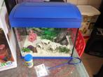superfish aqua 20 Tropical junior Kit aquarium compleet, Dieren en Toebehoren, Vissen | Aquaria en Toebehoren, Ophalen, Zo goed als nieuw