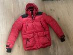 Rode Falcon winterjas ski jas  Maat L rood, Ophalen of Verzenden, Gedragen, Rood, Falcon