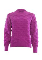 Poools trui maat 42 roze paars orchidee kleur, Kleding | Dames, Paars, Maat 42/44 (L), Ophalen of Verzenden, Zo goed als nieuw