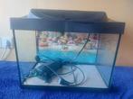 Aquarium met pompje, Dieren en Toebehoren, Ophalen, Gebruikt, Leeg aquarium