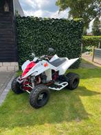 Yamaha Raptor 350R, Motoren, 1 cilinder, 349 cc, 12 t/m 35 kW