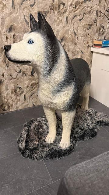 Husky Beeld - Tuin Decoratie beschikbaar voor biedingen