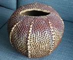 Zee-egelvaas Des Pots, Huis en Inrichting, Woonaccessoires | Vazen, Ophalen, Steen, Gebruikt, Overige kleuren