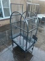 Papegaaien kooi, Ophalen of Verzenden, Zo goed als nieuw, Metaal, Vogelkooi