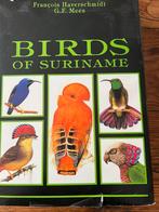 Surinaamse vogels, Dieren en Toebehoren, Meerdere dieren, Tropenvogel