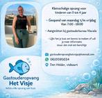 Gastouder aangeboden, Ophalen, Nieuw, Overige typen