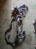 Kabelboom compleet voor Yamaha R6 01-02, Ophalen of Verzenden, Gebruikt