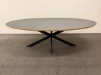 Ovale eettafel HPL grijs 240x120 / 240x130