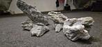 50 kilo Seiryu / Mini Landscape Rock, Ophalen, Gebruikt, Leeg aquarium