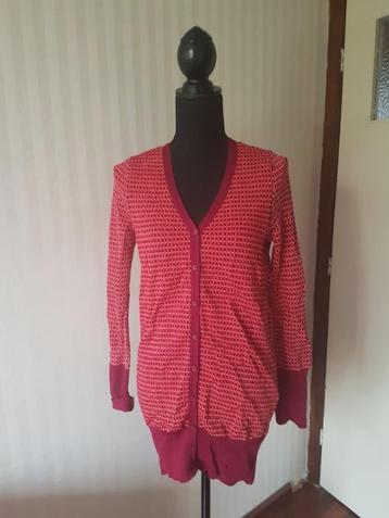 Nieuw met label. Lang vrolijk Zara vest S 36 rekt mee. beschikbaar voor biedingen
