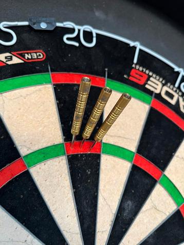 MVG masterdarts 21 gram beschikbaar voor biedingen
