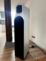 Vlaggenschip T+A TCI 1RE + Buizen Electrostatische Hogetoon, Audio, Tv en Foto, Ophalen, 120 watt of meer, Front, Rear of Stereo speakers