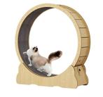 Loopwiel voor katten, Dieren en Toebehoren, Kattenspeelgoed, Ophalen, Zo goed als nieuw, Overig speelgoed