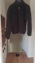 Teddy damesjas, Kleding | Dames, Jassen | Winter, Ophalen of Verzenden, Zo goed als nieuw, Maat 38/40 (M), Bruin