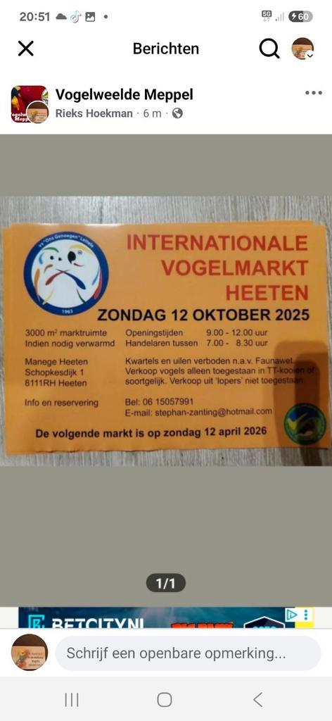 Gezocht diverse vogels 12 oktober heeten, Dieren en Toebehoren, Vogels | Parkieten en Papegaaien, Parkiet, Meerdere dieren