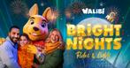2 kaartjes Walibi Bright Nights!, Drie personen of meer, Ticket of Toegangskaart