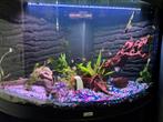 Aquarium 190 juwel hoek, Dieren en Toebehoren, Vissen | Aquaria en Toebehoren, Ophalen, Zo goed als nieuw, Overige typen