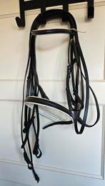 CTD stang en trens hoofdstel maat vb nieuw, Ophalen of Verzenden, Nieuw, Dressuur