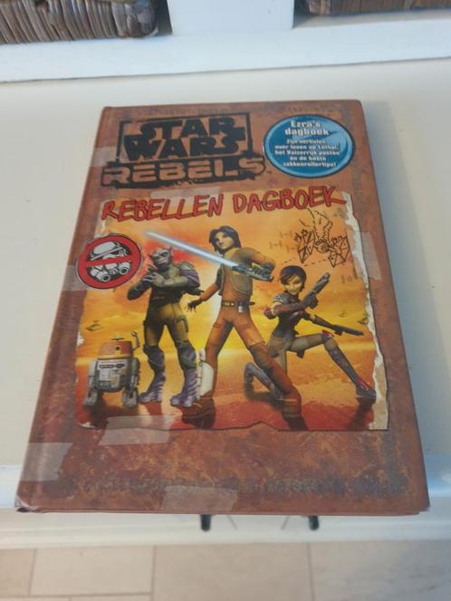 Daniel Wallace - Rebellen dagboek, Boeken, Overige Boeken, Zo goed als nieuw, Ophalen of Verzenden