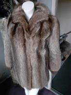 Prachtige echte dikke bruine bontjas bont jas bontmantel M, Ophalen of Verzenden, Zo goed als nieuw, Maat 38/40 (M), Bruin
