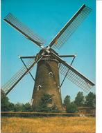 Nieuwvliet Molen, Verzamelen, Ansichtkaarten | Nederland, Verzenden, Ongelopen, Zeeland
