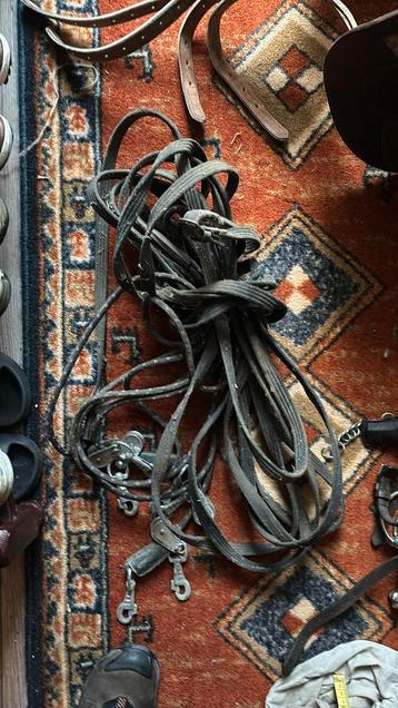 Dubbele longeerlijnen met katrollen beschikbaar voor biedingen