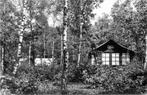(377-717-005) Doorn Het Grote Bos, Verzamelen, Ansichtkaarten | Nederland, Verzenden, Voor 1920, Utrecht