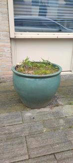 grote bloempot, Tuin en Terras, Bloembakken en Plantenbakken, Steen, Rond, Minder dan 60 cm, Zo goed als nieuw