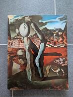 Boek Dali expositie boijmans van beuningen 1970, Boeken, Gelezen, Diverse auteurs, Ophalen of Verzenden, Overige onderwerpen