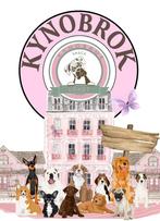 Hondenbrokken, Dieren en Toebehoren, Ophalen of Verzenden, Hond