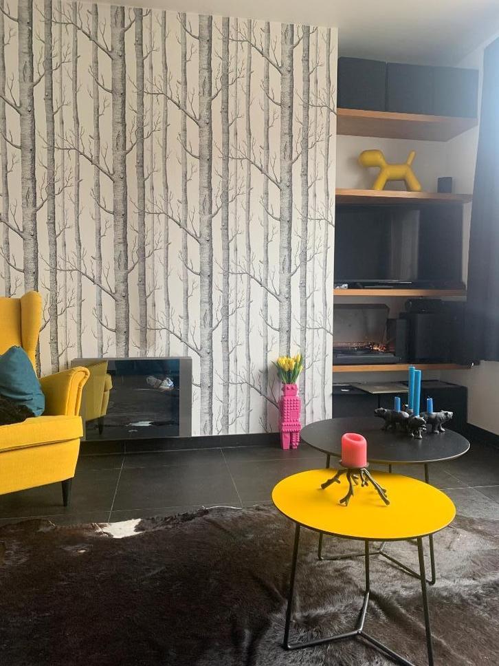 Montel duke design bijzettalfes, Huis en Inrichting, Tafels | Bijzettafels, Gebruikt, Rond, 45 tot 60 cm, Minder dan 55 cm, Metaal of Aluminium