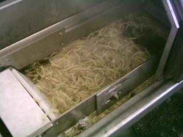 chips productie lijn beschikbaar voor biedingen