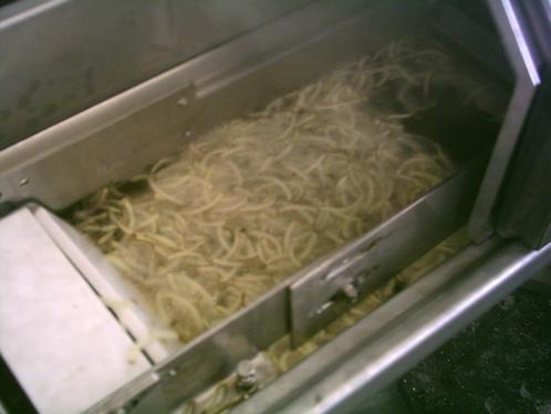 chips productie lijn, Huis en Inrichting, Keuken | Keukenbenodigdheden, Zo goed als nieuw, Ophalen of Verzenden