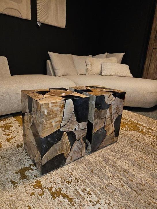 Versteend houten salon tafel petrified wood, Huis en Inrichting, Tafels | Salontafels, Nieuw, Minder dan 50 cm, 50 tot 100 cm