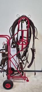 DEMO Ideal EuroTech combi enkelspan  maat Normandy, Dieren en Toebehoren, Paarden en Pony's | Hoofdstellen en Tuigage, Webshop@voskamphall.nl