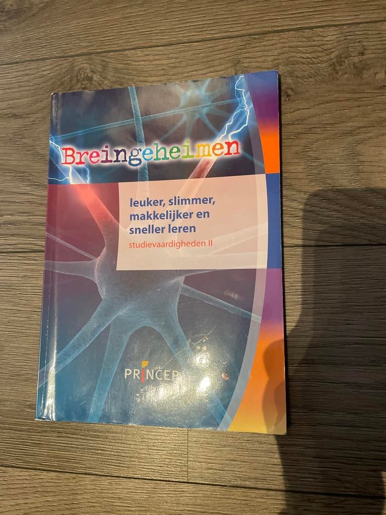 Jitske Schulte - Werkboek, Ophalen of Verzenden, Nederlands, Overige niveaus, Jitske Schulte
