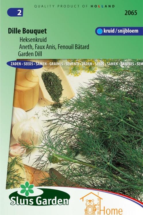 Dille Bouquet Heksenkruid Zaden: Kweek Heerlijke, Aromatisch, Tuin en Terras, Bloembollen en Zaden, Zaad, Voorjaar, Volle zon