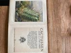 Cactussen door A.J. van Laren, Boeken, Ophalen of Verzenden, Gelezen, Plaatjesalbum