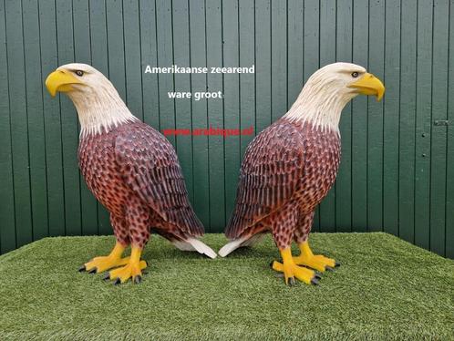 Amerikaanse zeearend  , Ara papegaai ,  Zwaan XXL  , Arend., Tuin en Terras, Tuinbeelden, Nieuw, Dierenbeeld, Kunststof, Verzenden