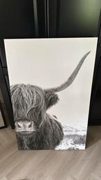 Canvas doek schotse hooglander, Huis en Inrichting, Woonaccessoires | Schilderijen, Tekeningen en Foto's, Ophalen, Zo goed als nieuw