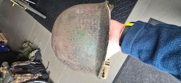 Us parachute pathfinder helmet  beschikbaar voor biedingen