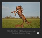 Paardenbeeld, Ophalen, Nieuw, Overige soorten