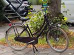 Transportfiets Cortina dames, Gebruikt, 47 tot 50 cm, Versnellingen, Ophalen