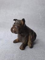 Bronze Engelse buldog, Antiek en Kunst, Kunst | Beelden en Houtsnijwerken, Ophalen of Verzenden