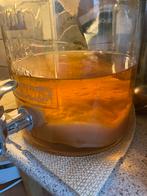 Kombucha, komboecha, theezwam, Diversen, Ophalen